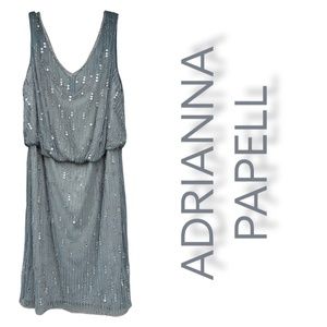 Adrianna Papell Beaded Gray  Sleeveless Dress Size 20W